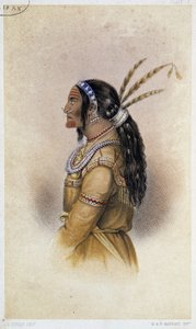 戦士クテカ・クチン。 ジョン・リチャードソン卿による「「北極探検遠征：ジョン・フランクリン卿の指揮下にある発見船を求めて、ルパートの土地と北極海を通る船の旅の日誌」 作： British School