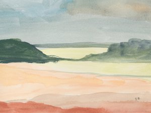  作： Bronwyn Baker