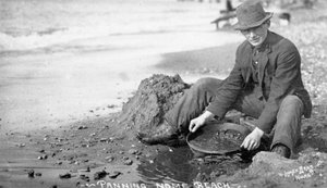 アラスカ、ノームの海岸で金を採取する男、1910年頃（モノクロ写真 作： Brothers Lomen