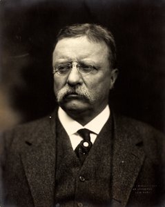 セオドア・ルーズベルト、1915年頃（白黒写真） 作： Brothers Pach
