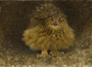 鷲フクロウ、1905 作： Bruno Andreas Liljefors