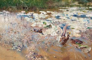 ワイルドダックス、1887年。 作： Bruno Andreas Liljefors