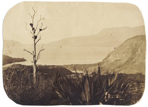 テワイロアの湖とタラウェラ山、1860年（アルブメンプリント） 作： Bruno Hamel