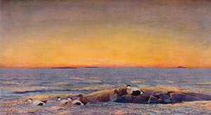 日の出、1896 作： Bruno Andreas Liljefors