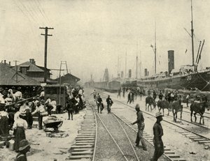 解放された囚人、スペイン-アメリカ戦争、1898年6月、1899年。 作： Burr McIntosh