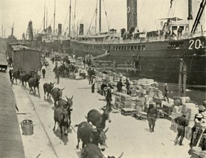 1898年6月10日、1899年、アメリカフロリダ州ポートタンパでの軍隊。 作： Burr McIntosh