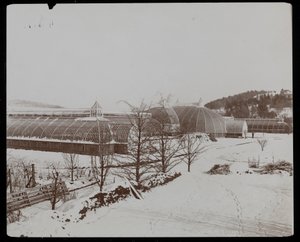 1894年、ニューヨークのタリータウンにあるヘレングールド邸（ジェイグールド邸後期）の雪の中の温室（銀ゼラチンプリント）