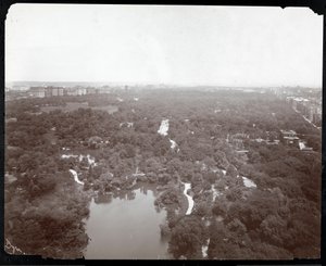 プラザホテル、5番街と59番街、ニューヨークからのセントラルパークの眺め、1907年頃（銀ゼラチンプリント）