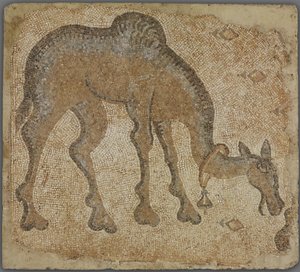 ラクダの放牧とモザイクの断片