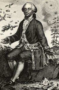 Georges-Louis Leclerc de Buffon (1707-1788) フランスの博物学者・数学者の肖像、エングレービング 作： J.B. and Brown J. Rowbotham