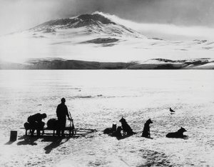 ロバート・ファルコン・スコット（1868-1912）による南極探検隊、ロス島のエレバス火山の前で、1月15日 作： J.B. and Brown J. Rowbotham