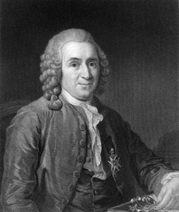 Carolus Linnaeus、18世紀スウェーデンの博物学者、1836年。 作： C. E. Wagstaff