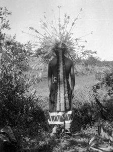 ネイティブ・アメリカンの人々と部族の丸屋根と儀式用衣装、カリフォルニア州 作： C. Hart Merriam