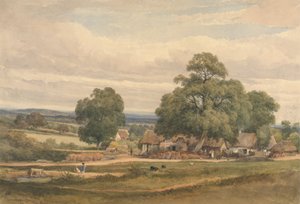 Emerey Down perto de Lyndhurst, New Forest, Hants 作： C. John M. Whichelo