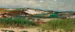 カリフォルニア州ナンタケット砂丘 1890年。 作： C. Morgan McIlhenney