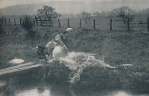 羊の毛刈り、1910 作： C. Reid
