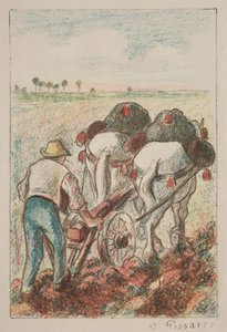 プラウ、1901年。 作： Camille Jacob Pissarro