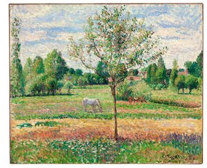 灰色の馬の草原、エラニー、1893 作： Camille Jacob Pissarro