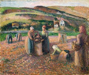 ジャガイモ狩り、1893 作： Camille Jacob Pissarro