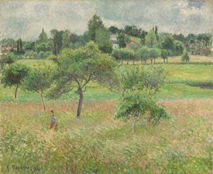 エラニーのリンゴの木、1894 作： Camille Jacob Pissarro