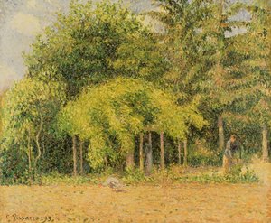 エラニーのアーバー、1893