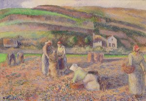 ジャガイモの収穫、1886 作： Camille Jacob Pissarro