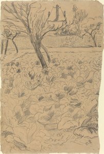 キャベツ畑、c。 1880年。 作： Camille Pissarro