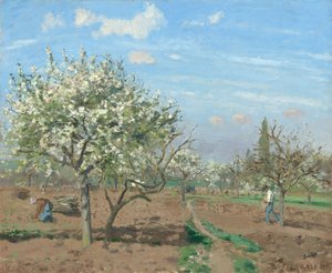 咲く果樹園、ルーヴシエンヌ 作： Camille Pissarro