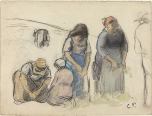 エンドウの収穫機 [直訳]、c。 1880年。 作： Camille Pissarro