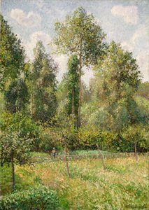 ポプラ、エラニー、1895年。 作： Camille Jacob Pissarro