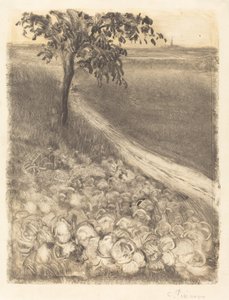 キャベツ畑のそばの道 作： Camille Pissarro