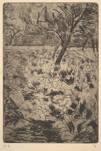 キャベツ畑、ca。 1880 作： Camille Jacob Pissarro