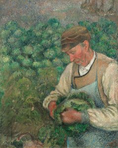 庭師 - キャベツと古い農民、1883-1895。 作： Camille Pissarro