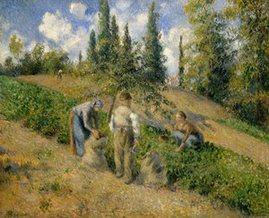 収穫、ポントワーズ 作： Camille Jacob Pissarro