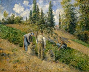 収穫、ポントワーズラレコルテ、ポントワーズ、1881年。 作： Camille Jacob Pissarro