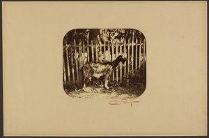ヤギ 作： Camille Silvy