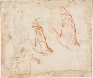 手の研究 (裏面) 作： Camillo Procaccini