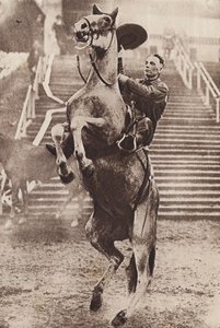 立ち上がる馬をコントロールするカウボーイ（モノクロ写真）