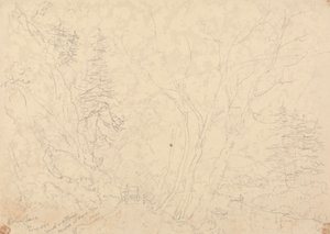 ホルン・チェイス、1833 年 5 月 30 日 作： Capt. Thomas Hastings