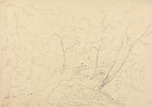Holne Chase Bridge and River, 30. toukokuuta 1833 作： Capt. Thomas Hastings
