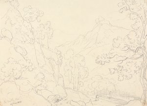 1833 年 5 月 29 日、ブラッドリー ベールにて 作： Capt. Thomas Hastings