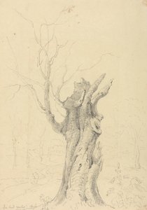 ワイト島、アパルダークーム、ヤーボロー卿の公園内 作： Capt. Thomas Hastings