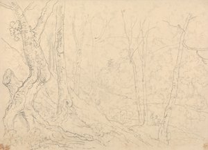 ヘイスティングス近くの養魚池で 作： Capt. Thomas Hastings