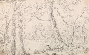 メイヨー島、チェスハント、1814 年 5 月 23 日 作： Capt. Thomas Hastings
