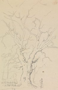 1826 年 2 月 12 日、ニューポート ロードにて