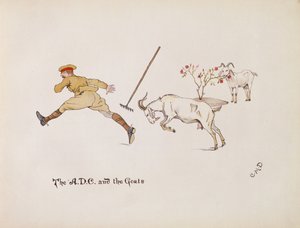 ADCとヤギ、Ladysmith of Ladysmith、1900年