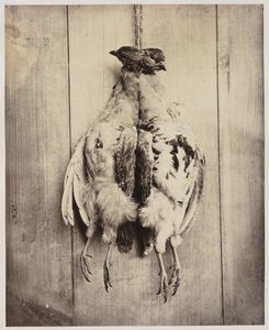 1861年頃、長方形にPartridges、裏面にL.D.Campbell