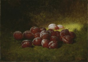 パープルプラム、1895年。 作： Carducius Plantagenet Ream