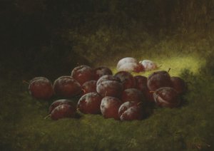 紫梅、1895 作： Carducius Plantagenet Ream