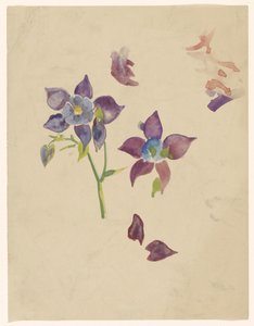 花の研究 作： Carel Adolph Lion Cachet